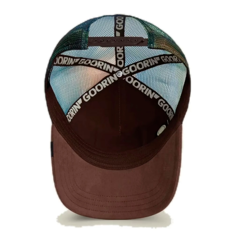 aquila-nel-cappello-dell-elemento