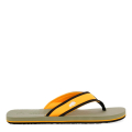 KAKI