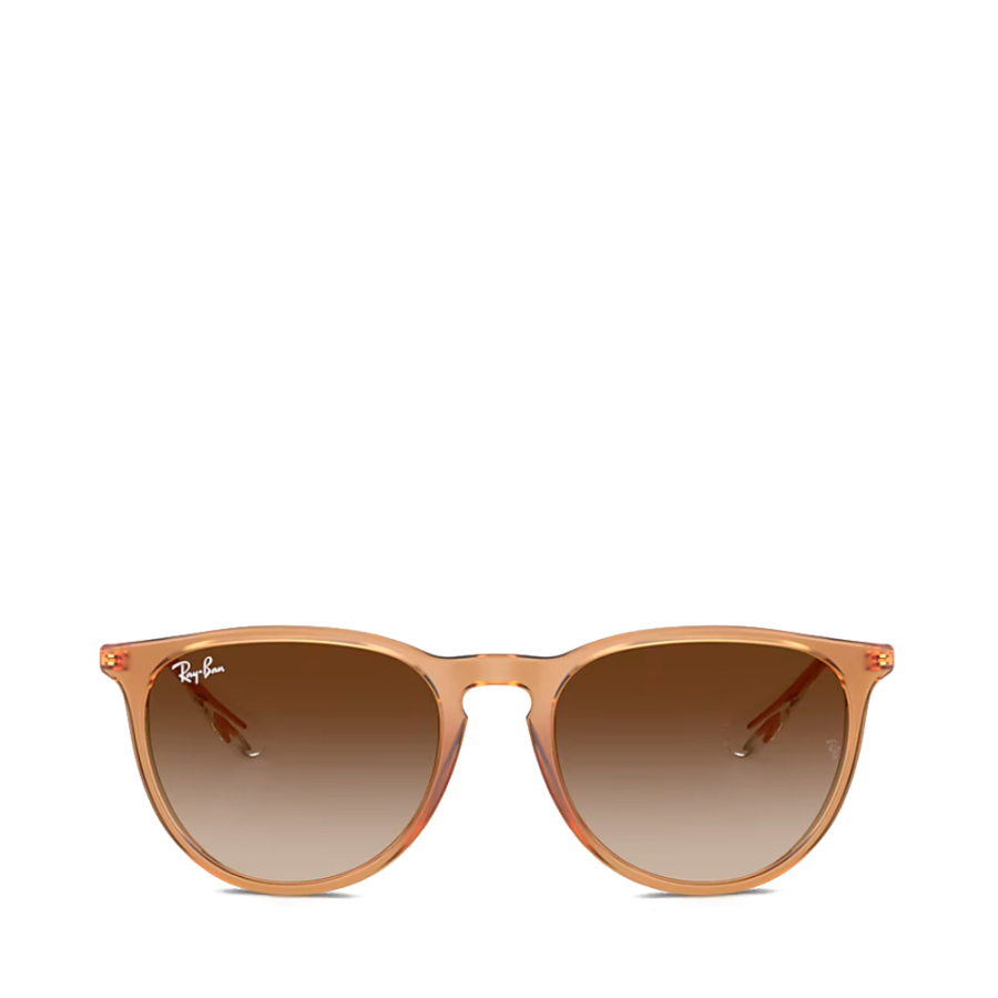 rb4171-erika-classic-sunglasses