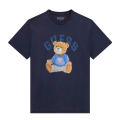 F73J-SMART BLUE MULTI