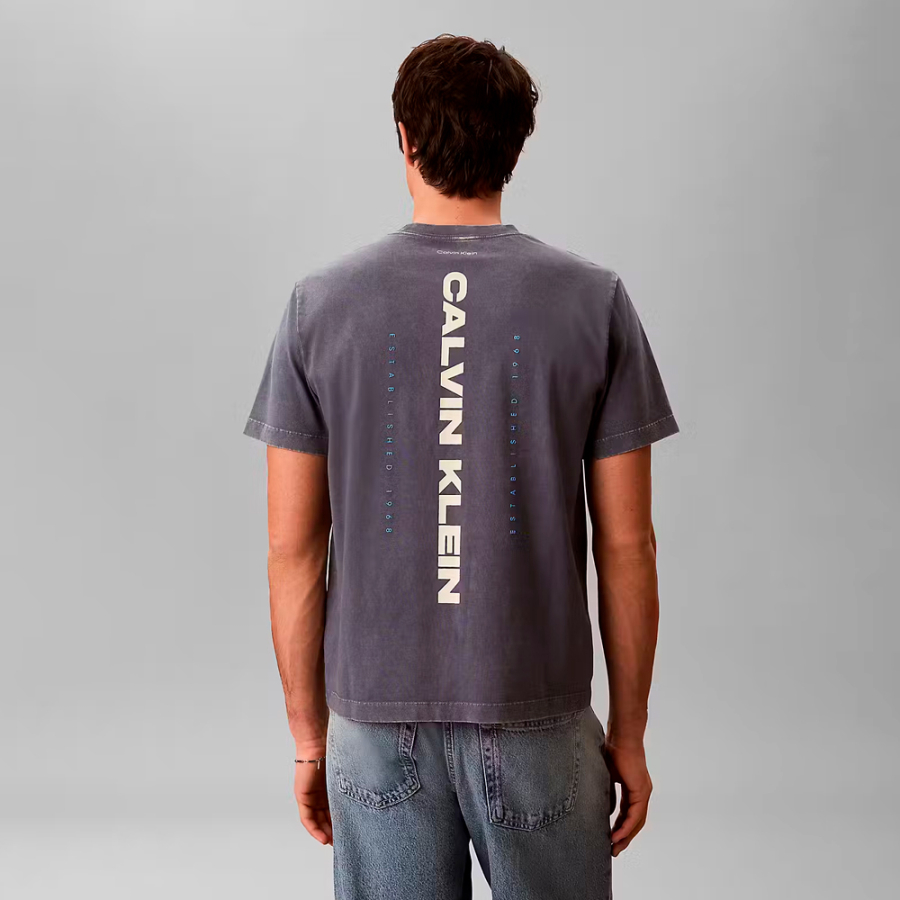 camiseta-washed-spine-graphic