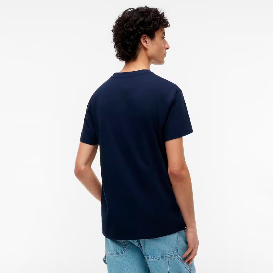 camiseta-regular-flag