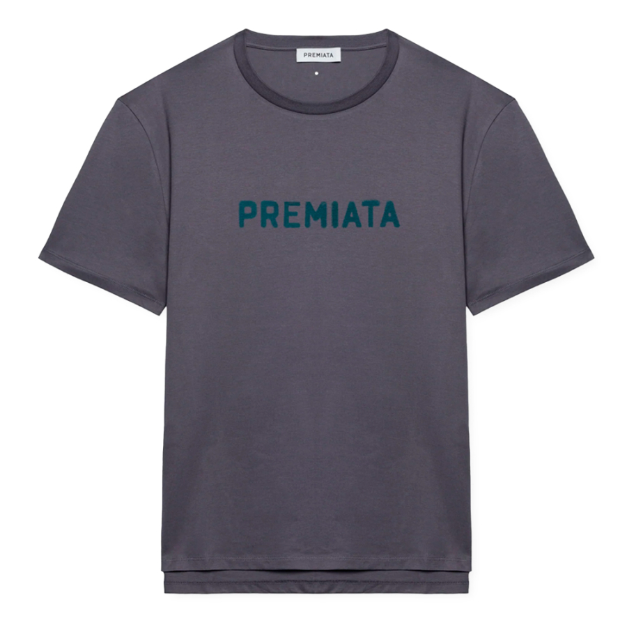 camiseta-graphic-iron camiseta-graphic-iron