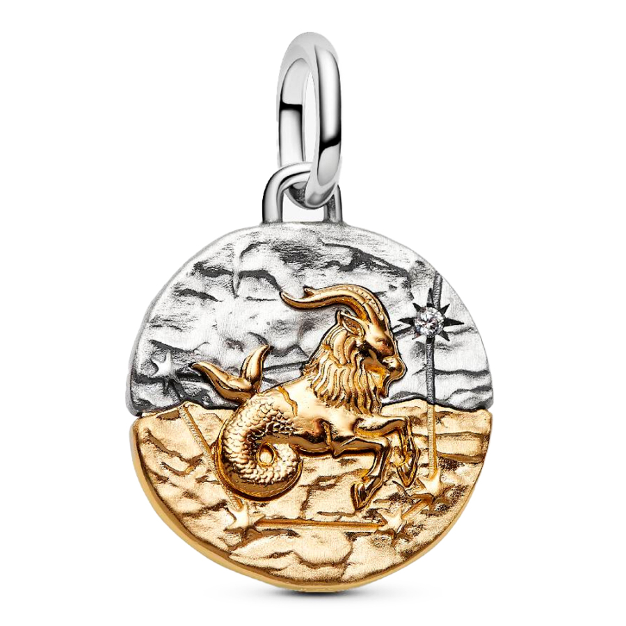pingente-medalhao-do-zodiaco-de-capricornio-764987c01