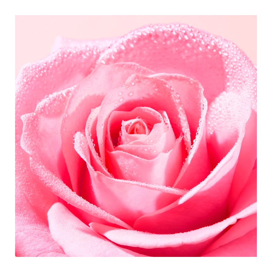very-rose-mousse-sabonete-liquido-espumante-leve very-rose-mousse-sabonete-liquido-espumante-leve