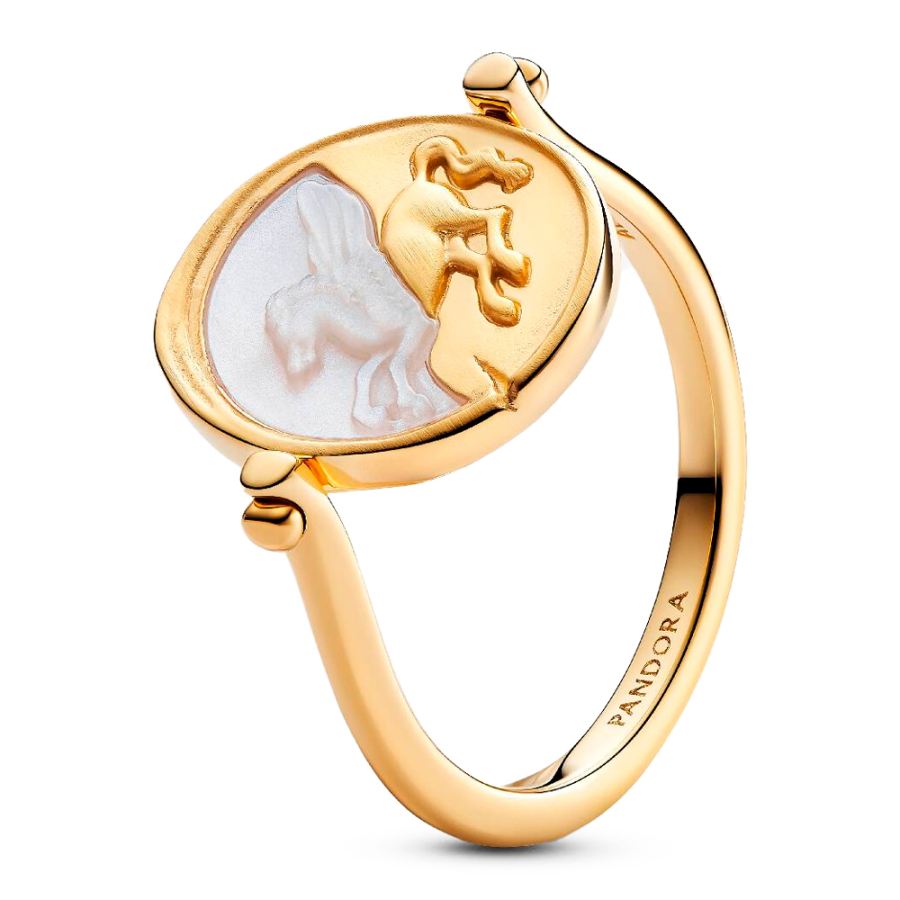 anel-com-medalhao-reversivel-pegasus-164812c01 anel-com-medalhao-reversivel-pegasus-164812c01