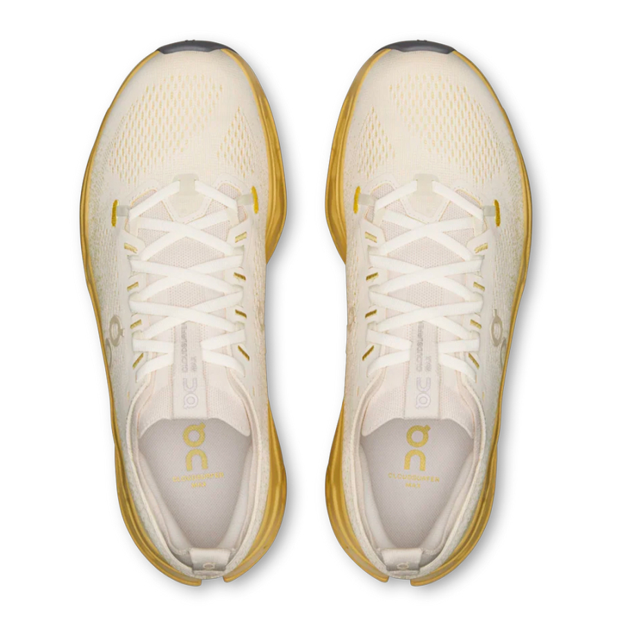 chaussure-cloudsurfer-max