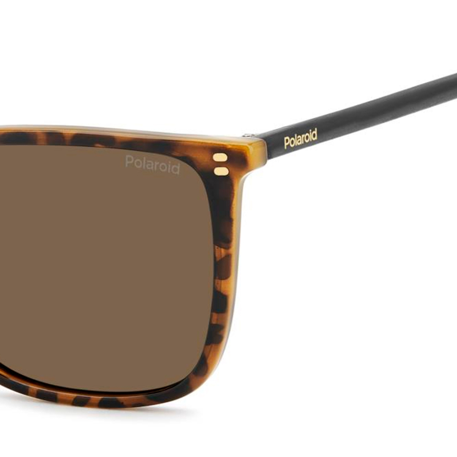 sunglasses-pld-4209-s-x sunglasses-pld-4209-s-x