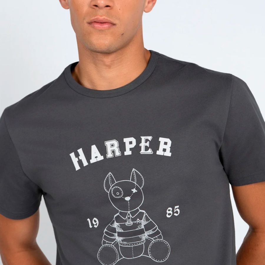 camiseta-arthur