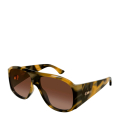 008-HAVANA-HAVANA-BROWN