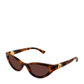 002-HAVANA-HAVANA-BROWN