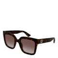 002-HAVANA-HAVANA-BROWN