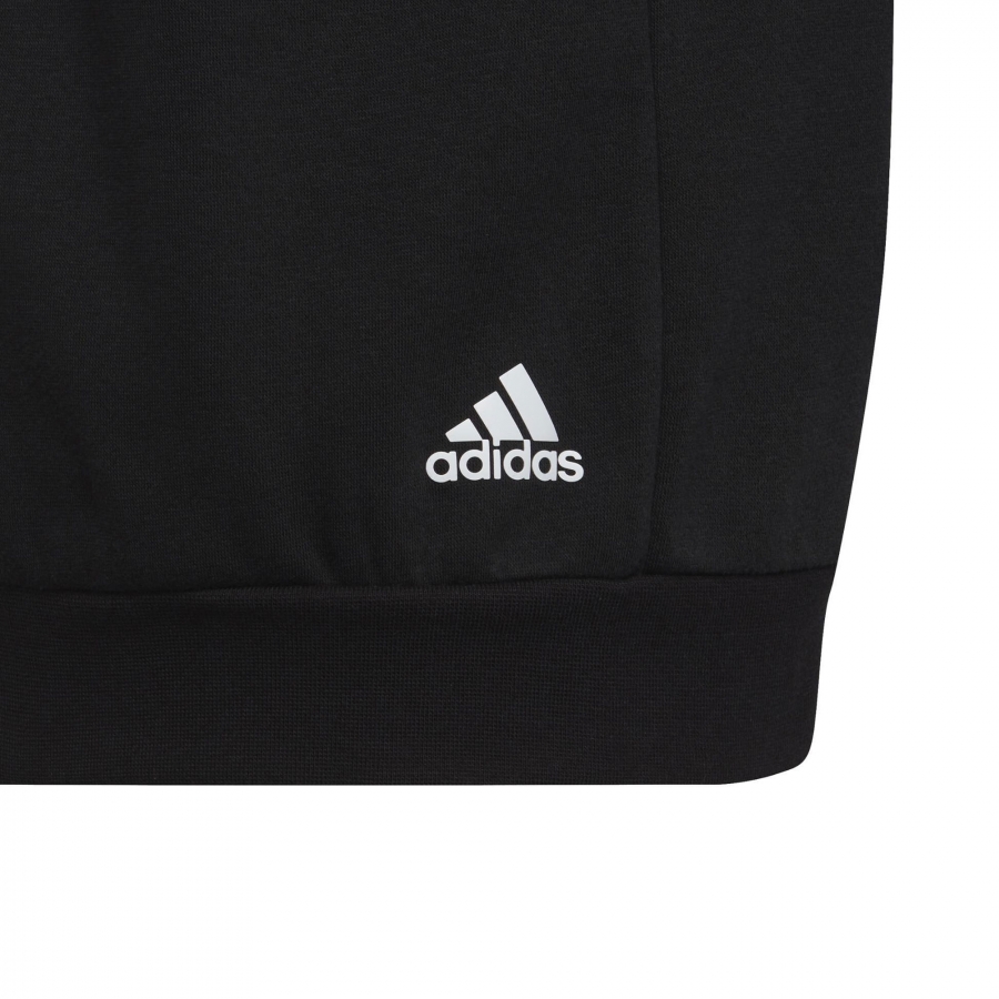 Adidas Future Icons Pullover-Hoodie Adidas Future Icons Pullover-Hoodie